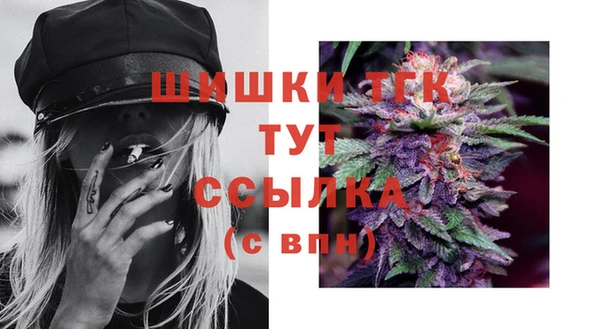 спиды Аркадак