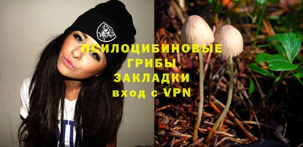спиды Аркадак
