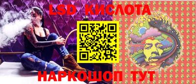 спайс Кингисепп
