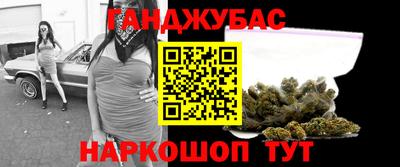стафф Гай