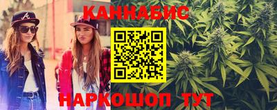 стафф Гай