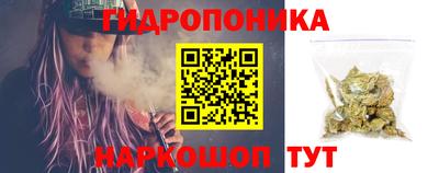 apvp Гагарин