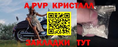 стафф Гай