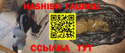 apvp Гагарин