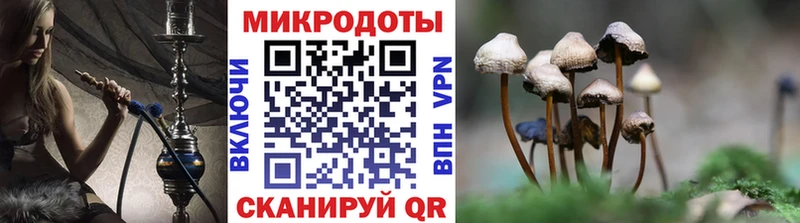 Галлюциногенные грибы Magic Shrooms Егорьевск