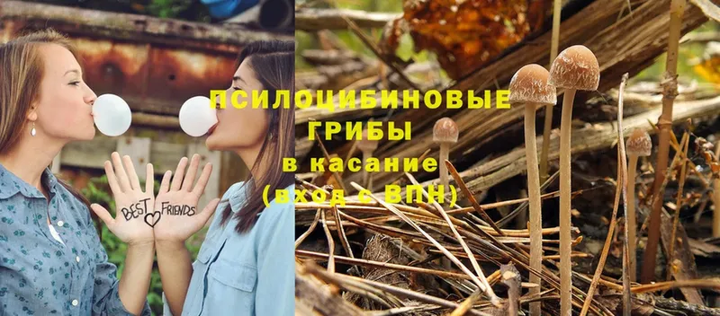 Галлюциногенные грибы ЛСД  shop формула  Егорьевск  как найти закладки 