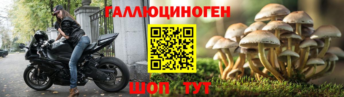 Галлюциногенные грибы мицелий Егорьевск